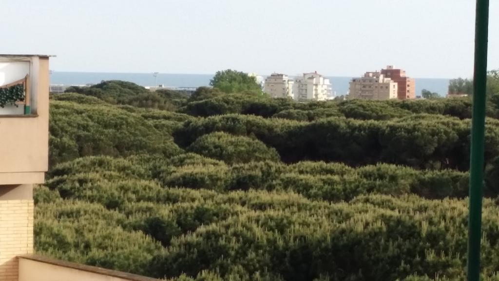 Castel Fusano Superattico Panoramico 아파트 객실 사진
